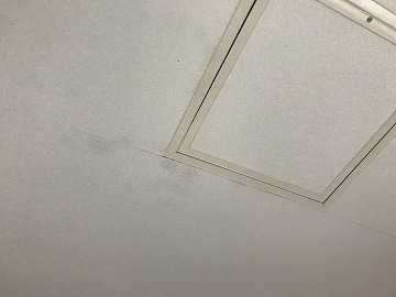 雨漏り