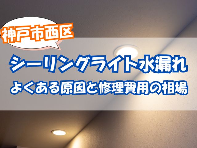 シーリングライトの水漏れ
