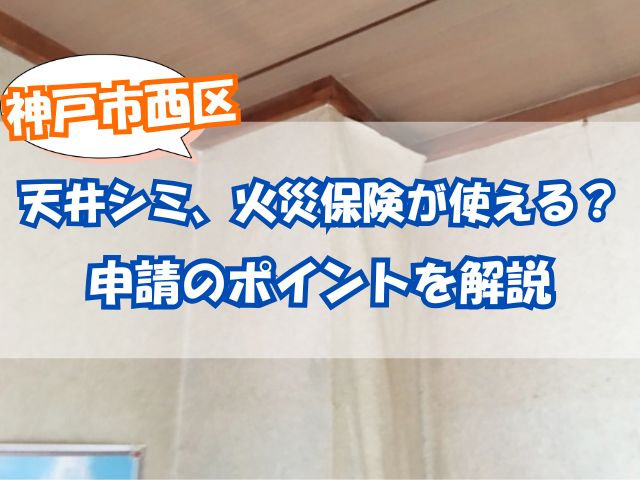 天井のシミ